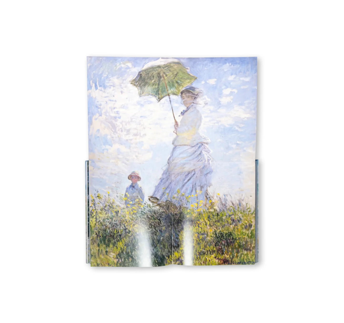 MONET - THE BIGGER PICTURE by Anne Sefrioui