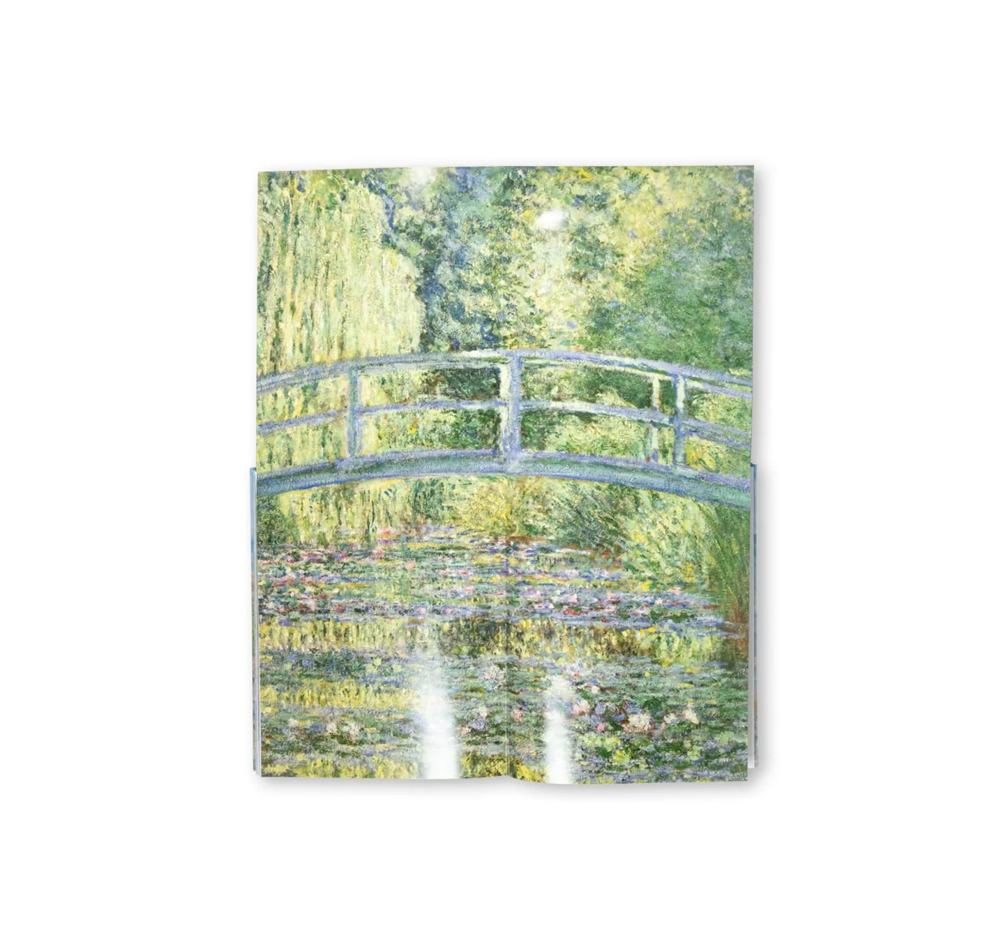 MONET - THE BIGGER PICTURE by Anne Sefrioui