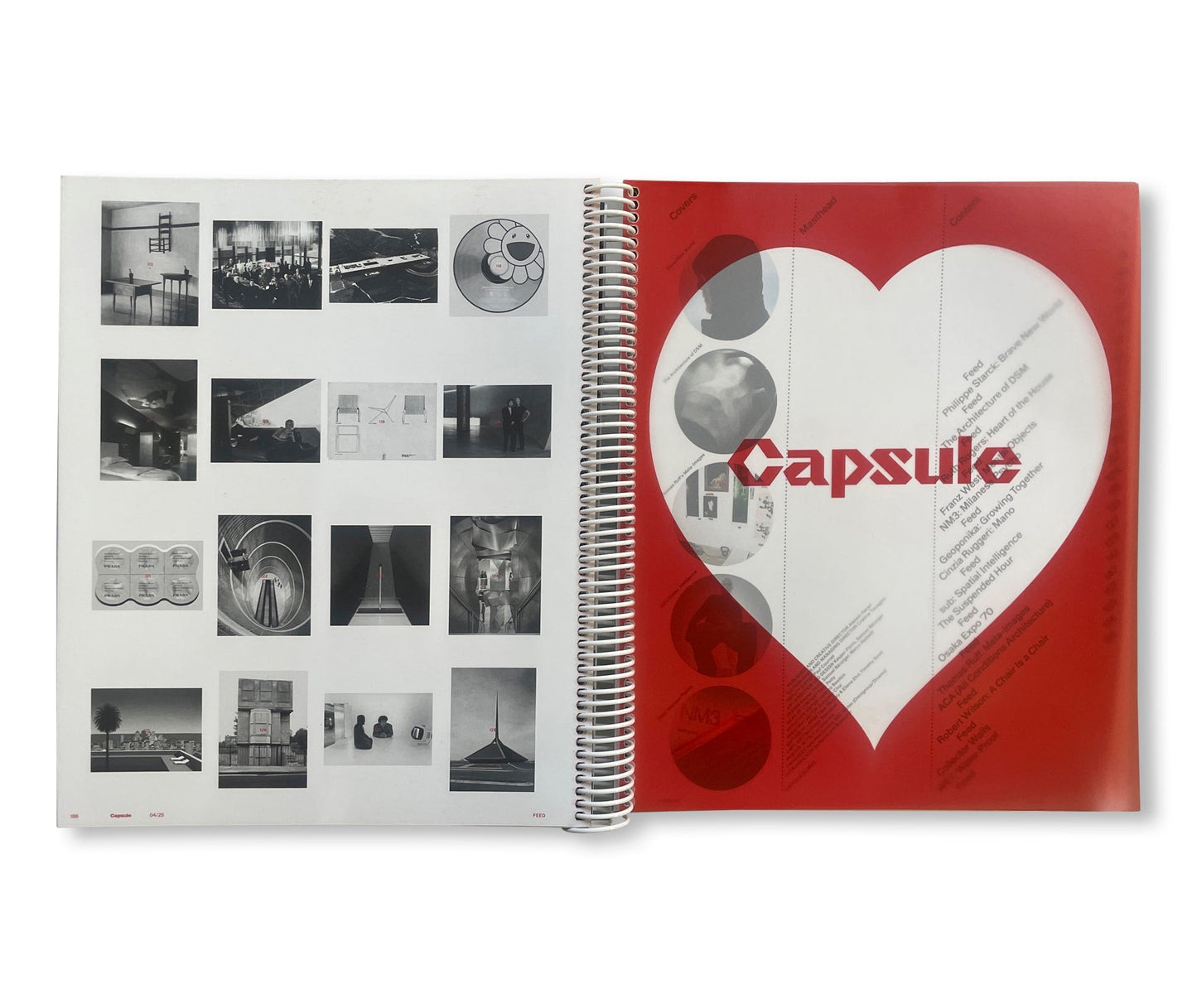 CAPSULE ISSUE 4 – THE ARCHITECTURE OF DSM