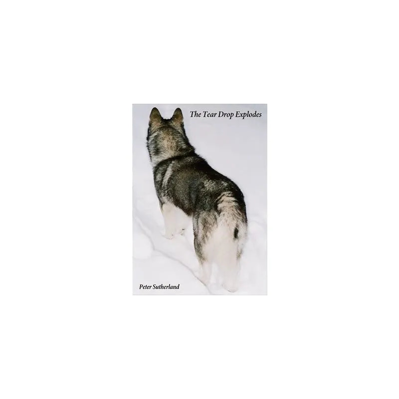 THE TEAR DROP EXPLODES/Peter Sutherland - BMTC ZINE #06