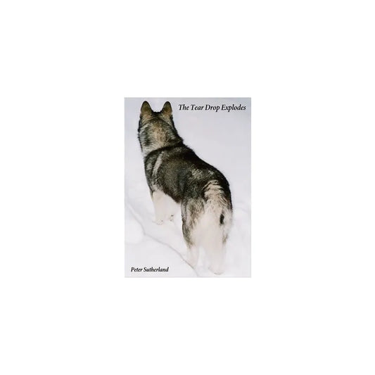 THE TEAR DROP EXPLODES/Peter Sutherland - BMTC ZINE #06