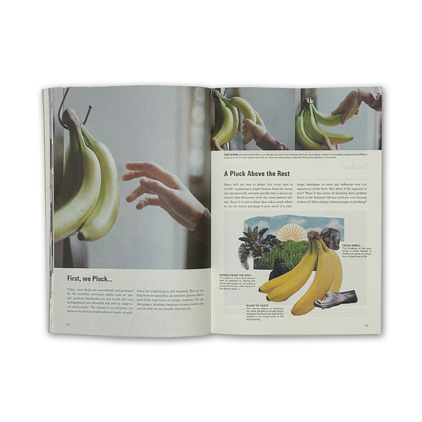 Science of the Secondary #11: Banana