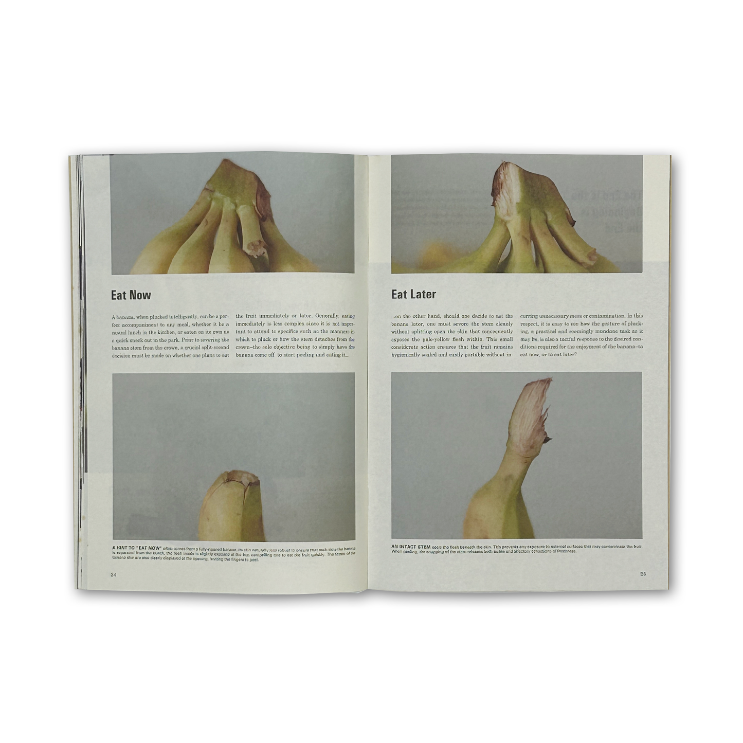 Science of the Secondary #11: Banana