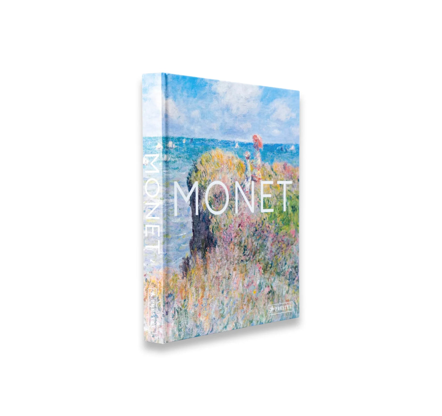 MONET - THE BIGGER PICTURE by Anne Sefrioui