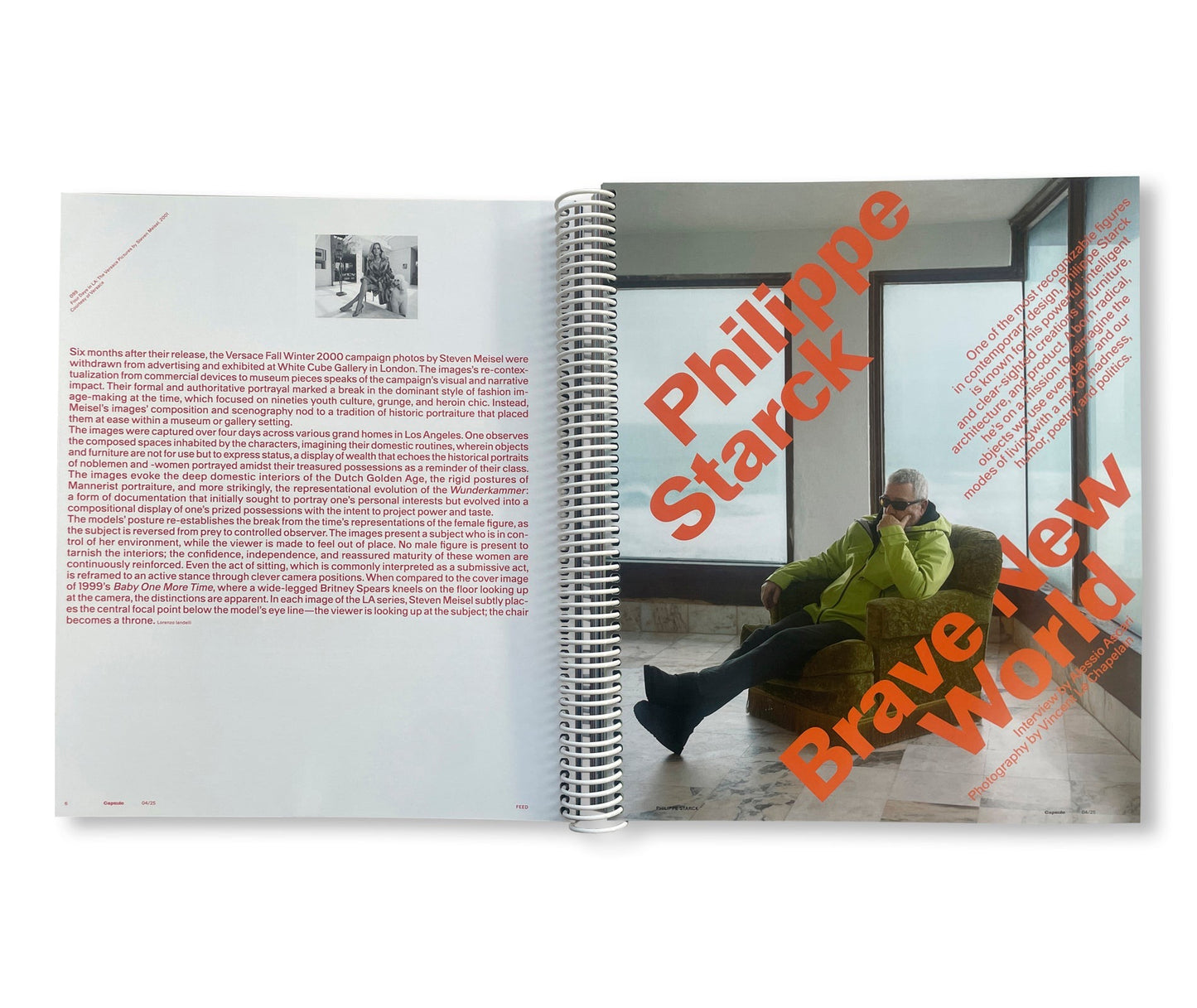 CAPSULE ISSUE 4 – THE ARCHITECTURE OF DSM