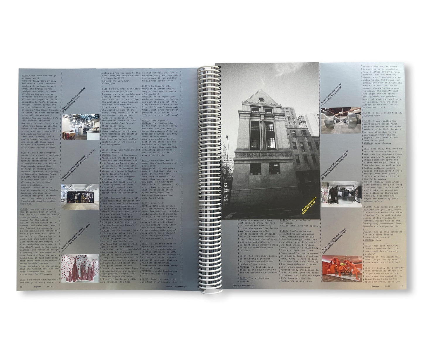 CAPSULE ISSUE 4 – THE ARCHITECTURE OF DSM