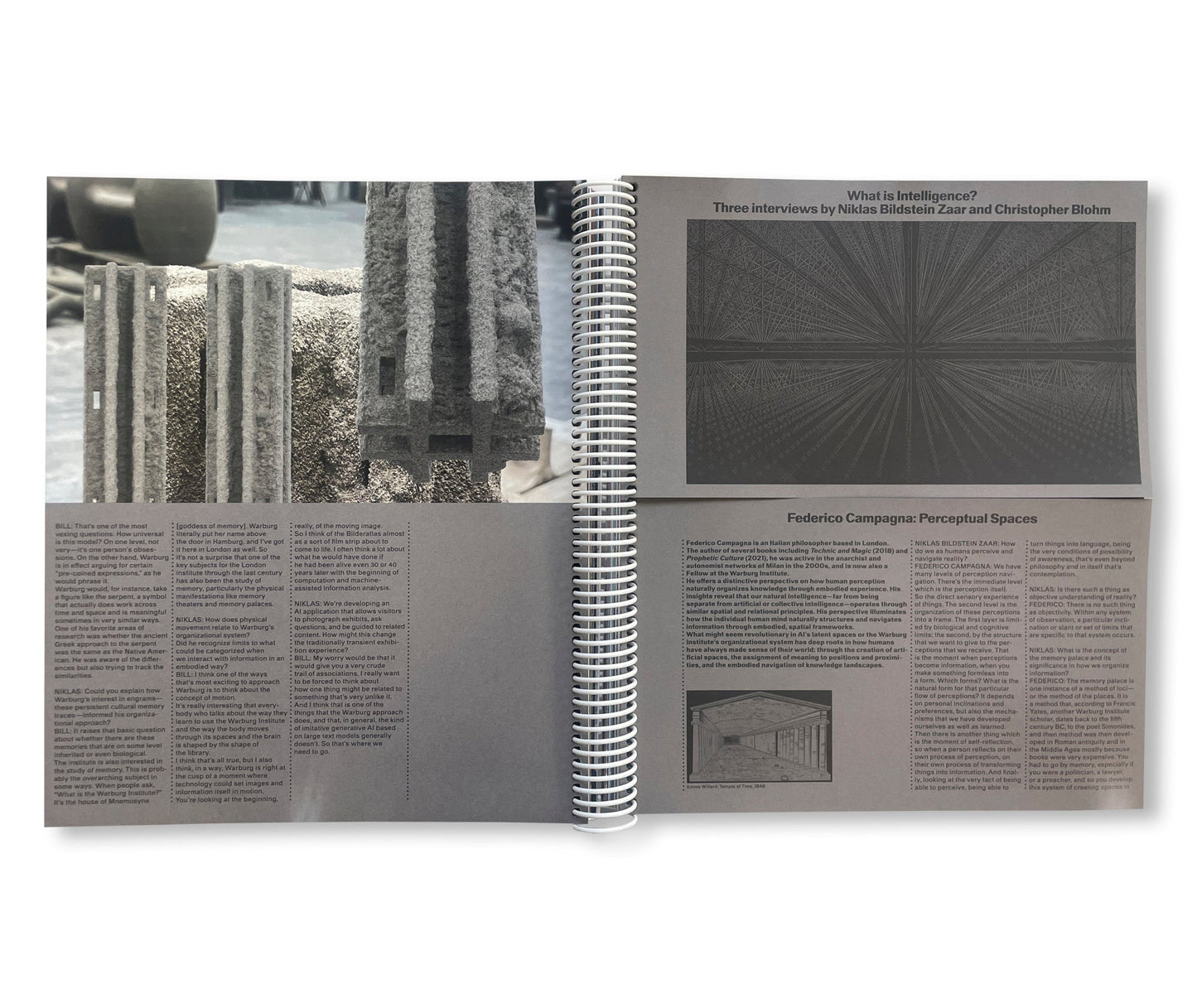CAPSULE ISSUE 4 – THE ARCHITECTURE OF DSM