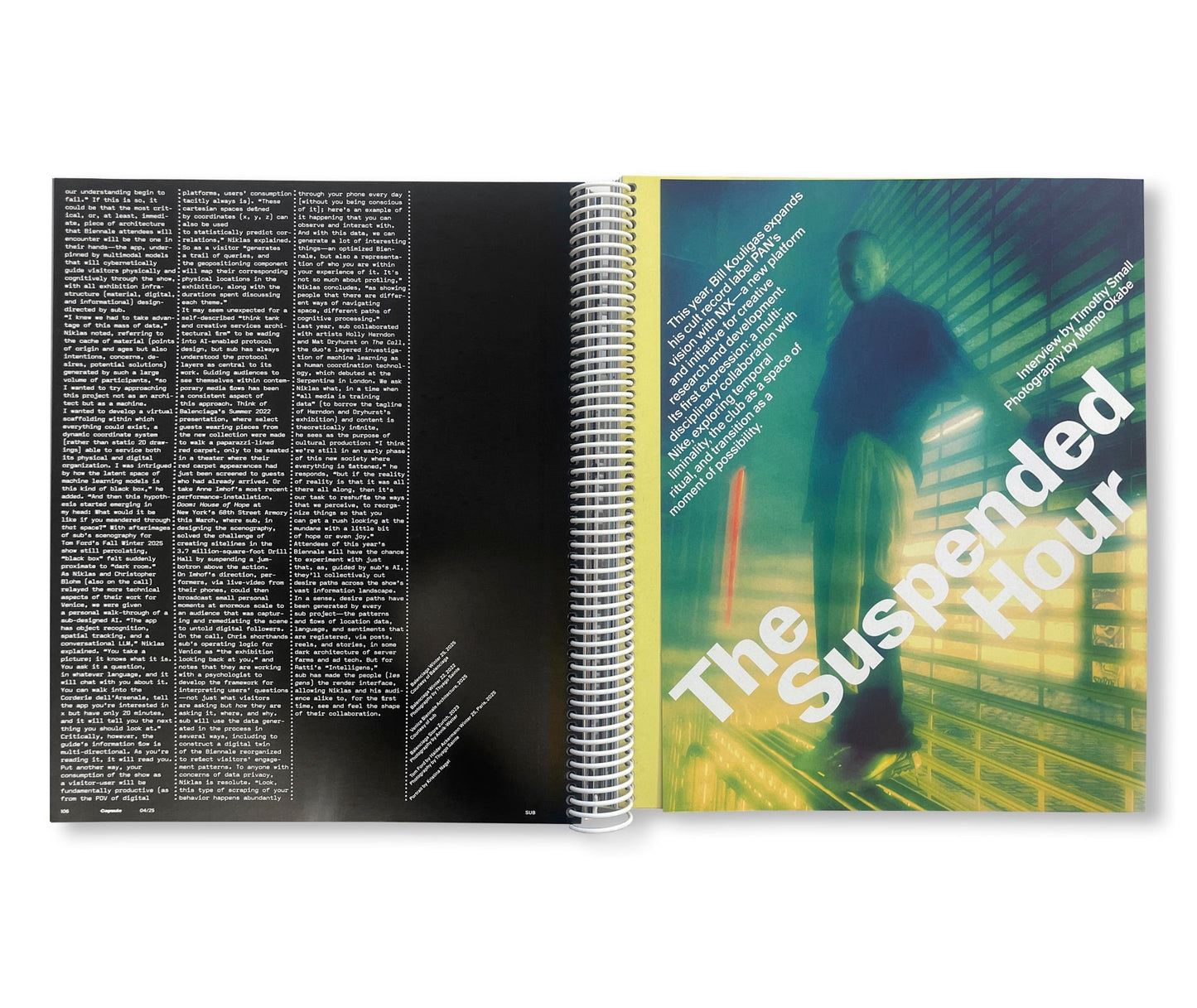 CAPSULE ISSUE 4 – THE ARCHITECTURE OF DSM