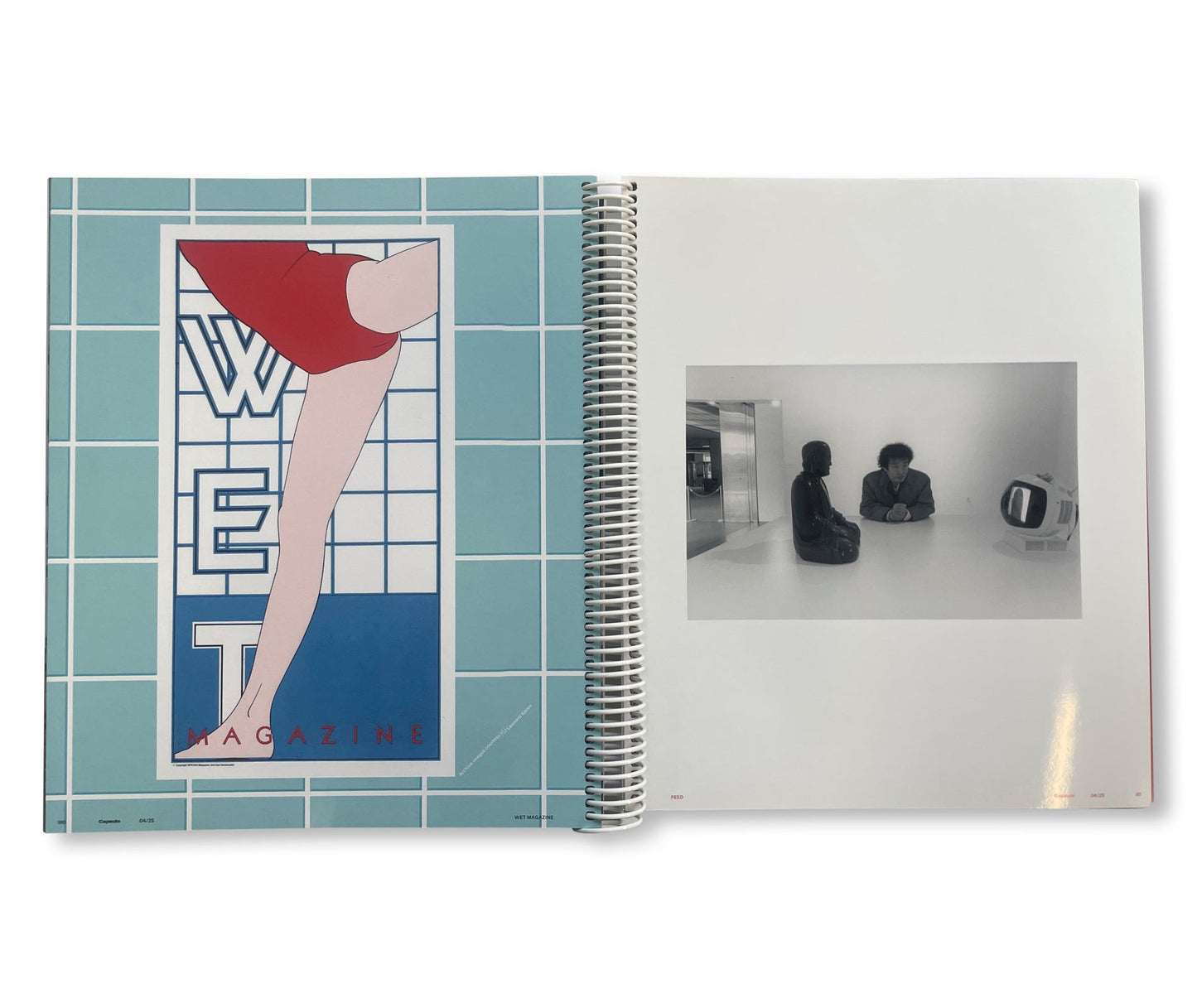 CAPSULE ISSUE 4 – THE ARCHITECTURE OF DSM