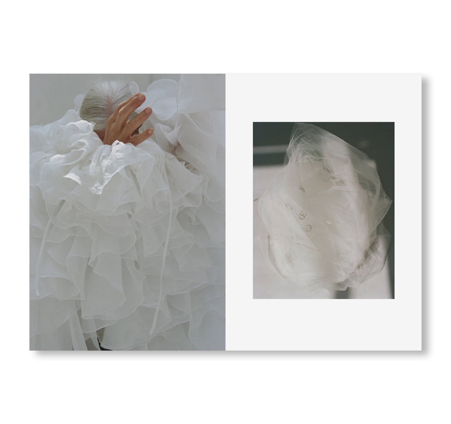 STUDY MAGAZINE VOLUME 12