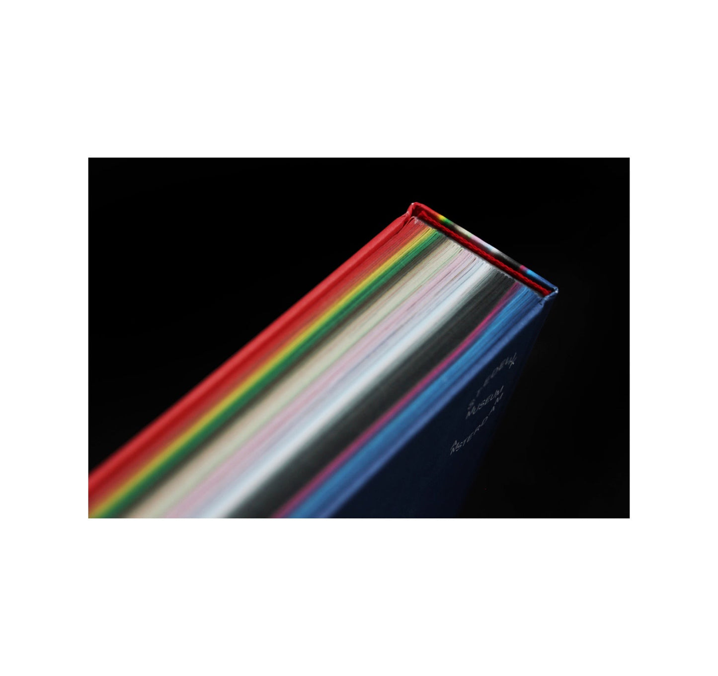 STEDELIJK MUSEUM POSTERS BY COLOR [ENGLISH EDITION]