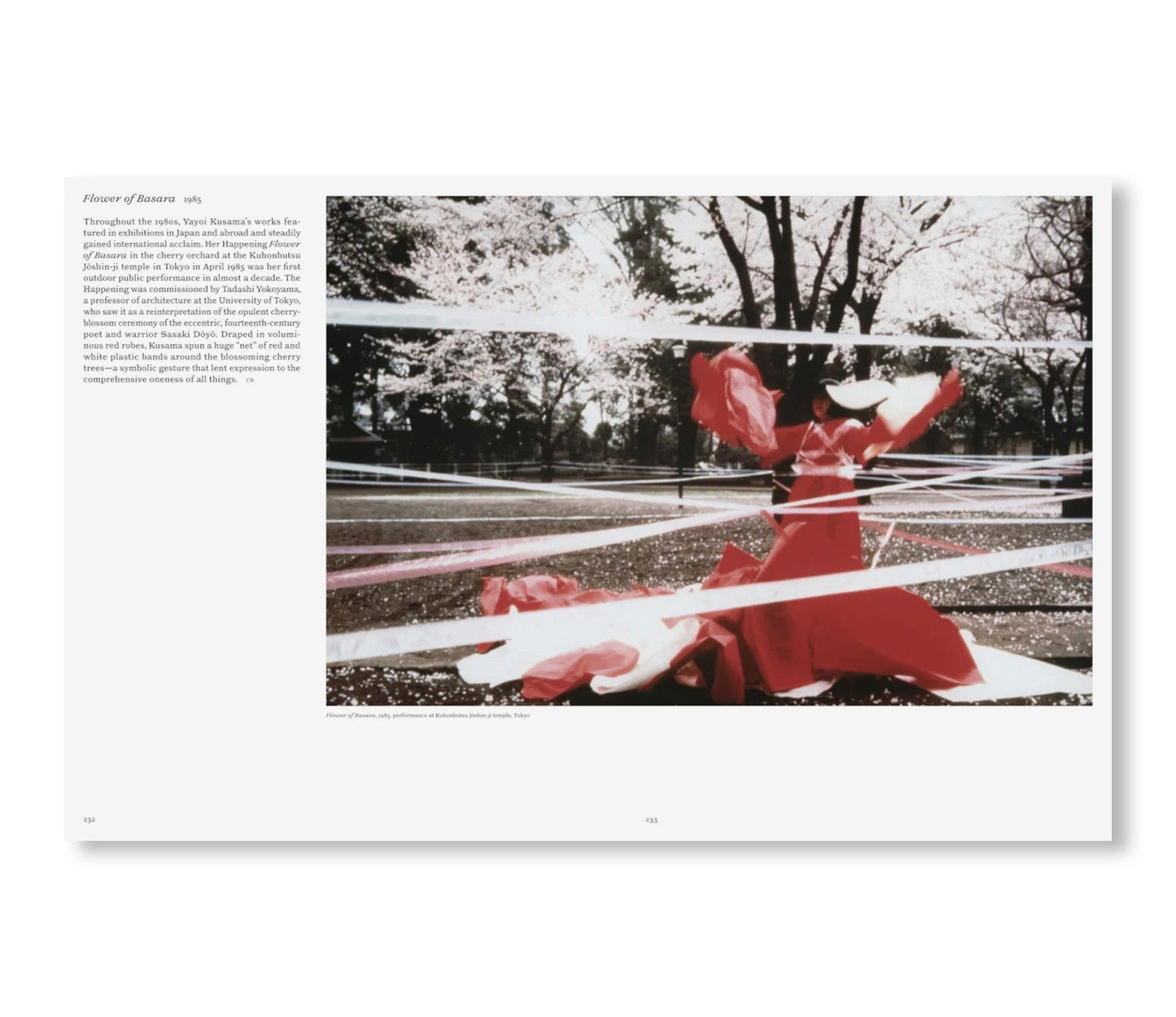 YAYOI KUSAMA by Yayoi Kusama [ENGLISH EDITION] (HATJE CANTZ)