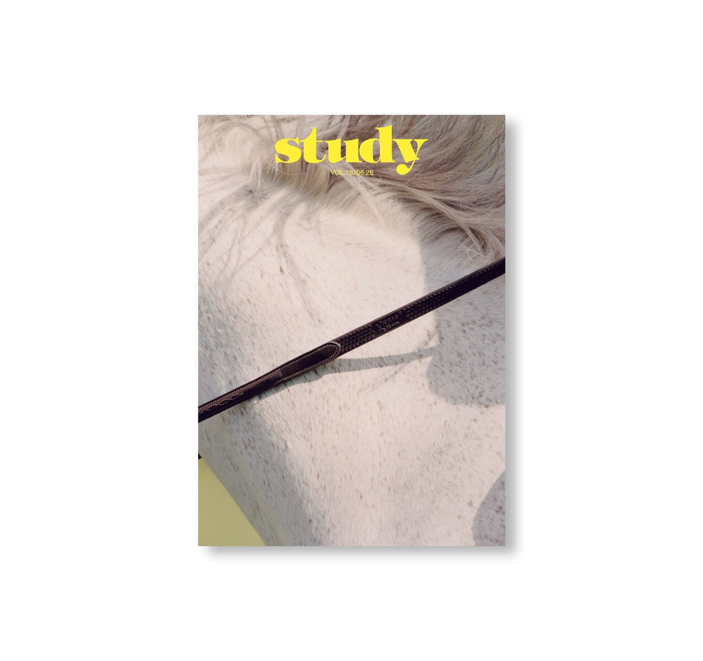 STUDY MAGAZINE VOLUME 15