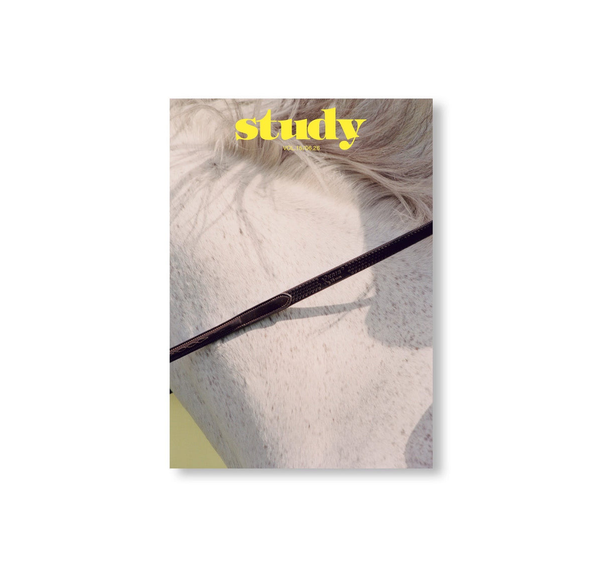 STUDY MAGAZINE VOLUME 15