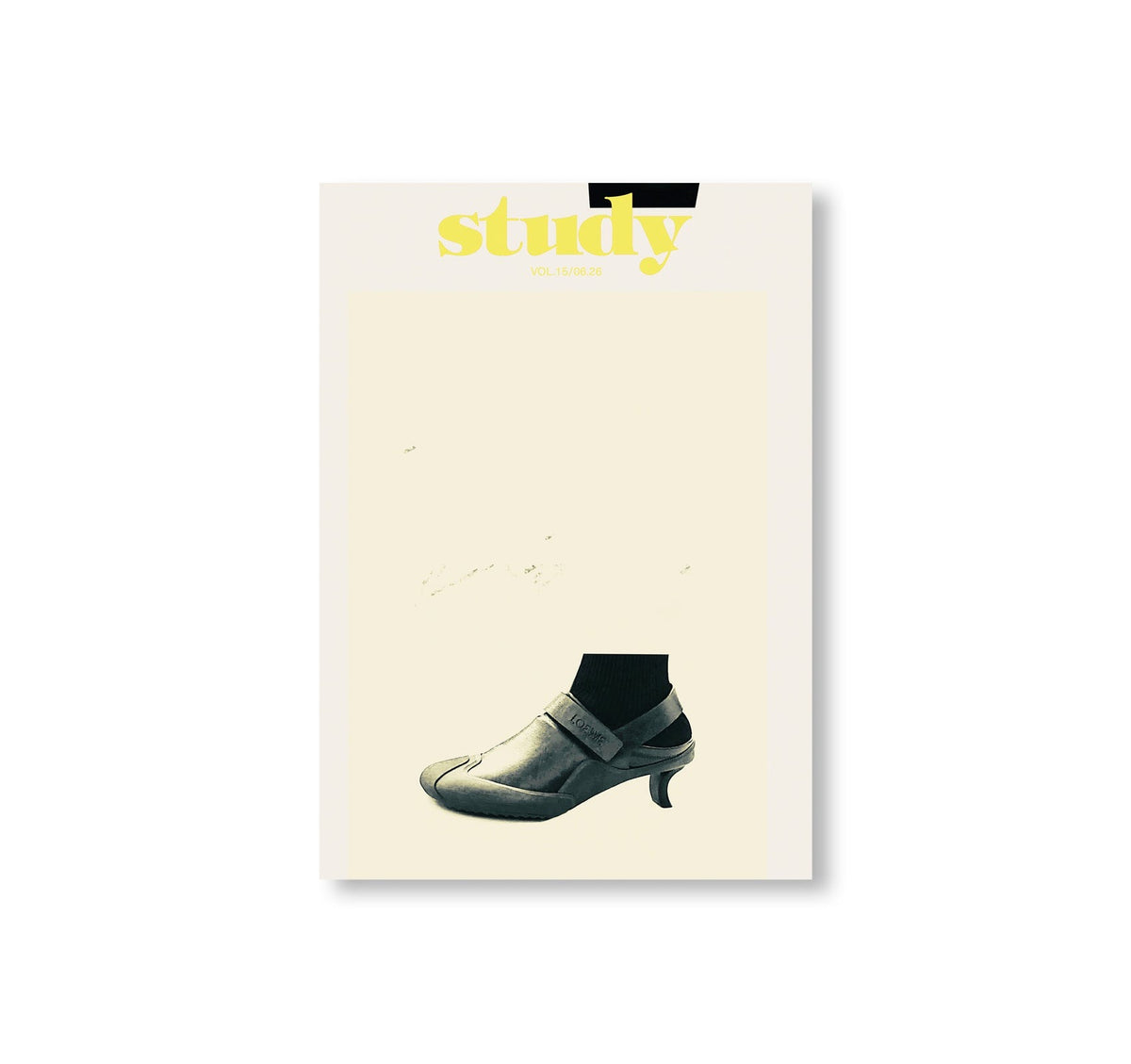 STUDY MAGAZINE VOLUME 15