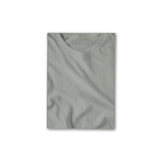 Science of the Secondary #14: T-shirt
