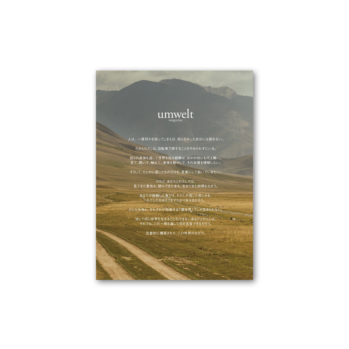 umwelt magazine vol.0/IRUBOOKS